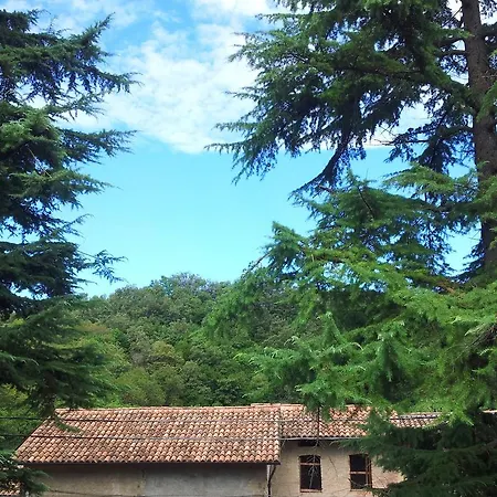 One Nice Vezzano sul Crostolo